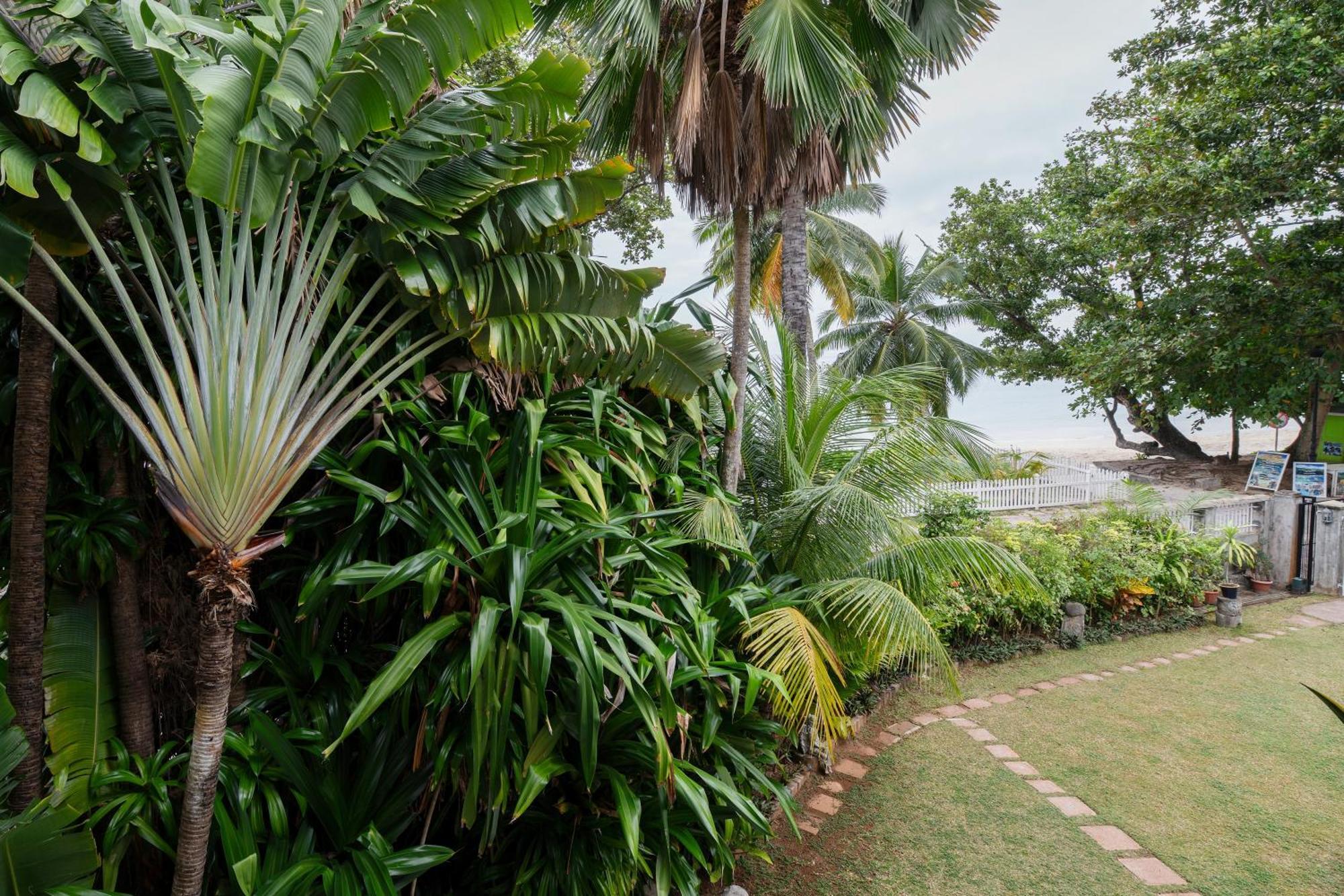 Sables D'Or Luxury Apartments Beau Vallon  Exterior foto